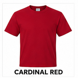 Custom T-shirt design option 3