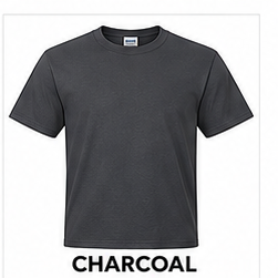 Custom T-shirt design option 5