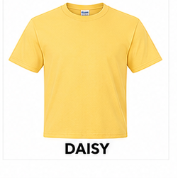Custom T-shirt design option 6