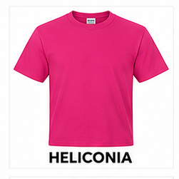 Custom T-shirt design option 10